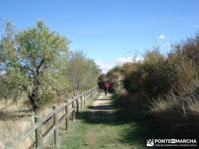 Hoces del Río Duratón - Sepúlveda;que es senderismo los senderos que ver en madrid